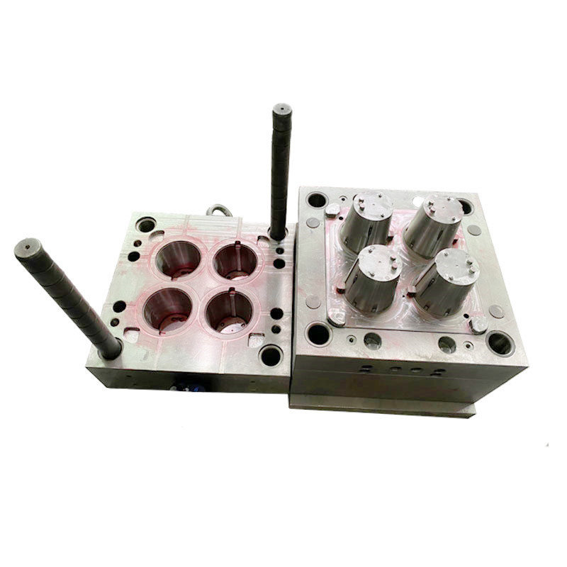 Mould Maker Plastic Parts Injection Mould04 (3)